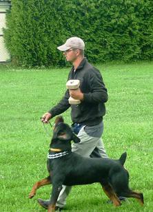 Ščučka David - figurant